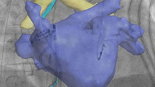 EP navigator dekstop