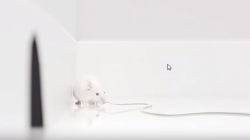 xper flex cardio video1 desktop