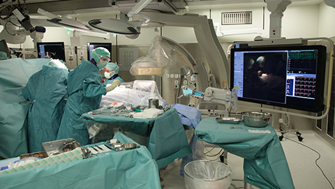 flexvision xl hybrid suite desktop