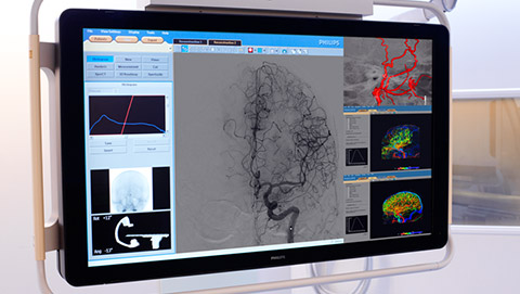 flexvision xl 3 desktop
