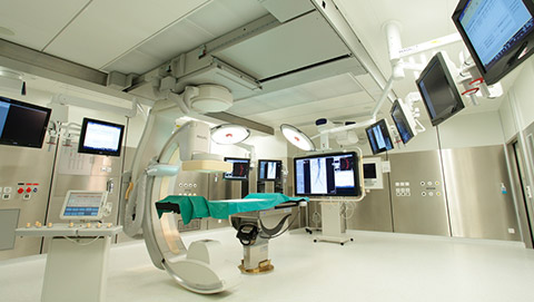 hybrid suite 2 desktop